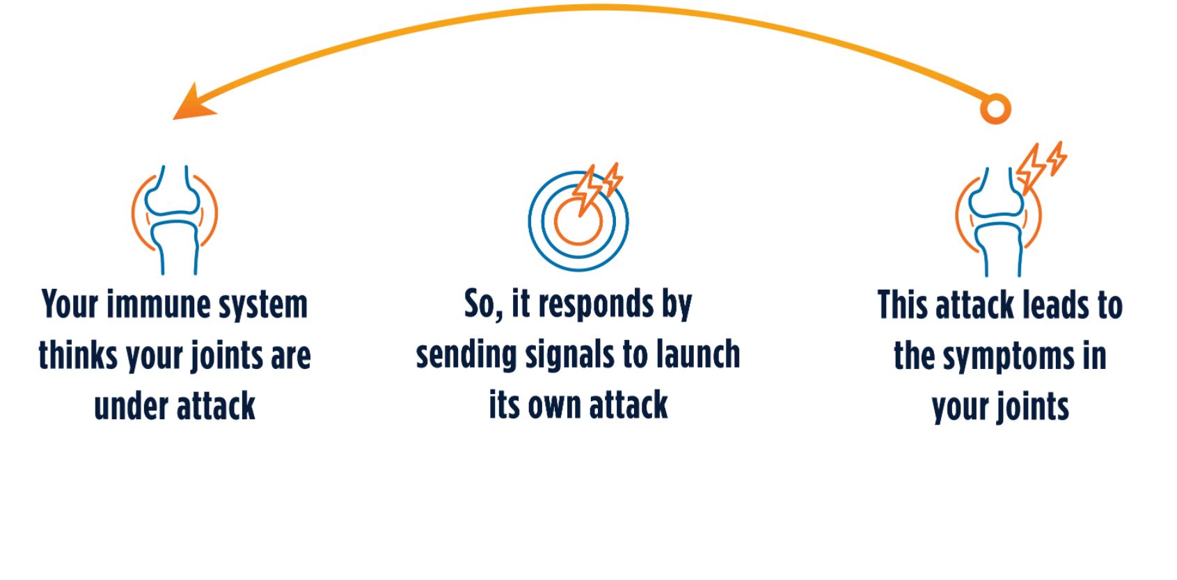 Gif of how ORENCIA works in RA. Further description in transcript below.